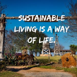 sustainable lifestyle